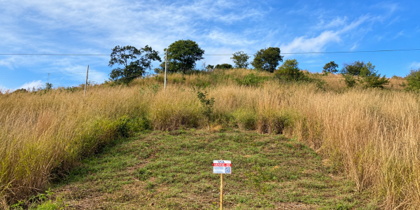 N 23 - 200M²
